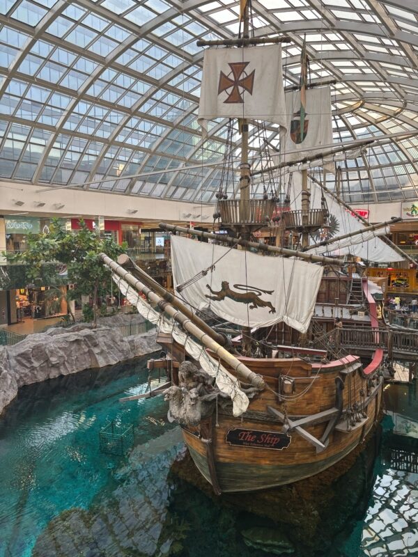 2025年度 アルバータ大学夏季研修プログラム報告書(藤井すみれさん)