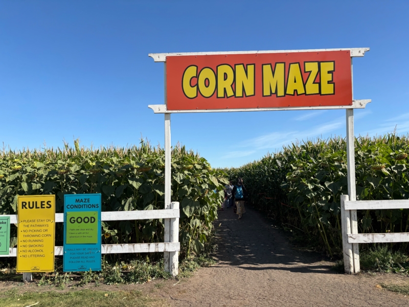 2025年度 アルバータ大学夏季研修プログラム報告書(藤井すみれさん)