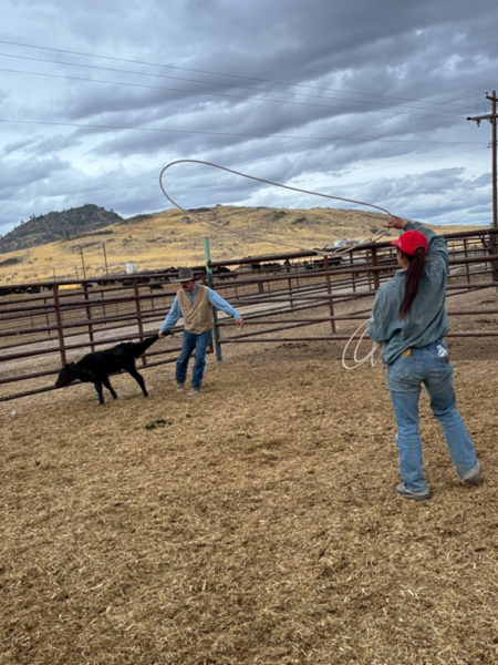 海外農業研修報告書（国際農業者交流協会）2025年10月
