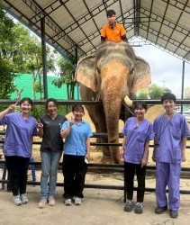 2025年度タイ・カセサート大学単位互換プログラム 11月報告書