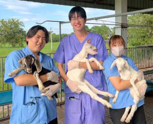 2025年度タイ・カセサート大学単位互換プログラム 11月報告書