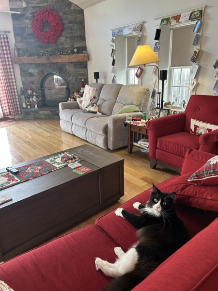 フィンドレー大学ベケット奨学生報告書:12月(黒田佳奈・循環農学類4年)