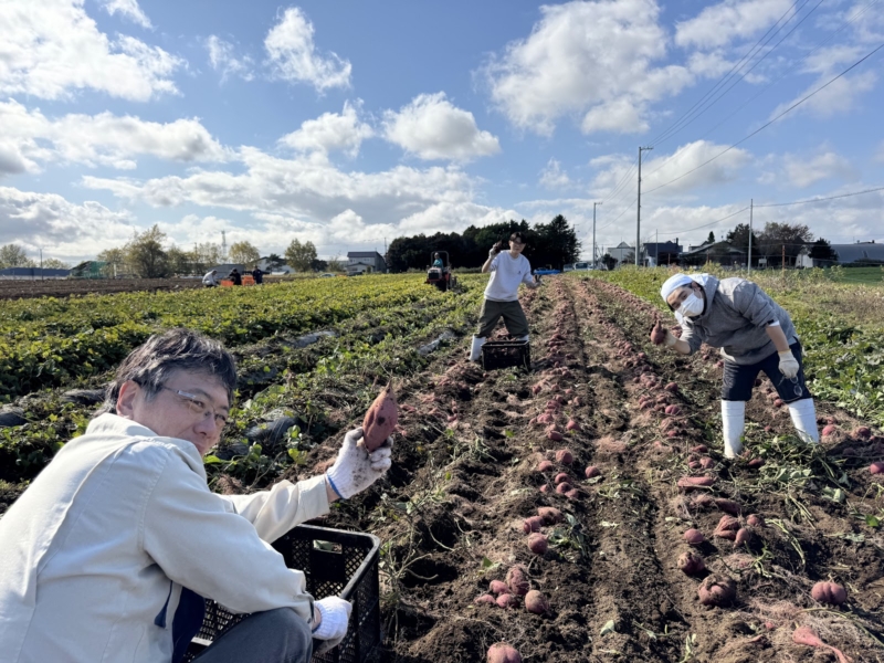 北海道産のさつまいもを世界の人気者に! さつまいもの「おいしさ」を科学する