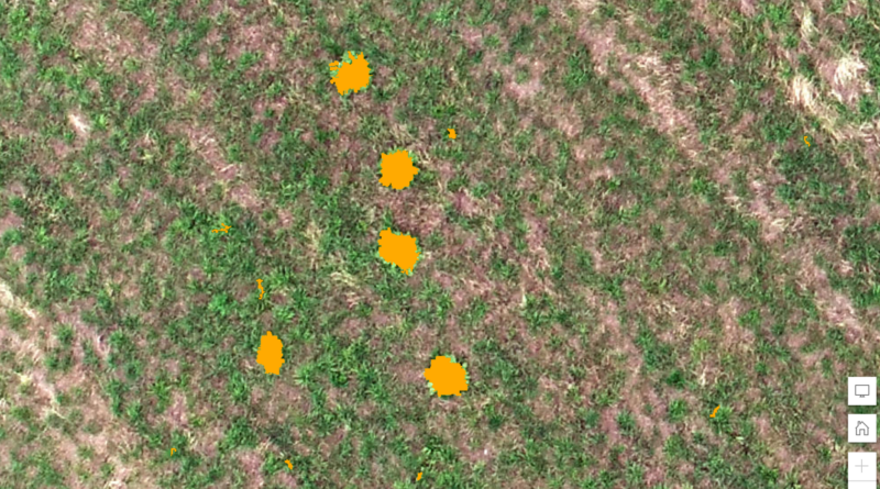 農薬使用量を9割削減。ドローンとAIが変えるスマート草地管理