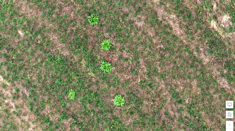 農薬使用量を9割削減。ドローンとAIが変えるスマート草地管理