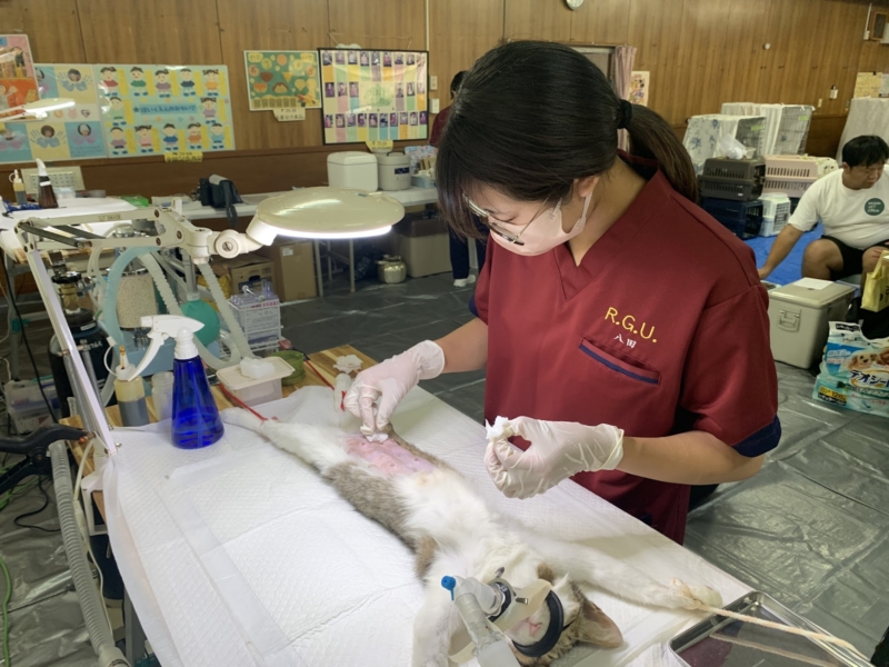 命の連鎖を、責任ある未来へ。学生が挑む「T.N.R.活動」