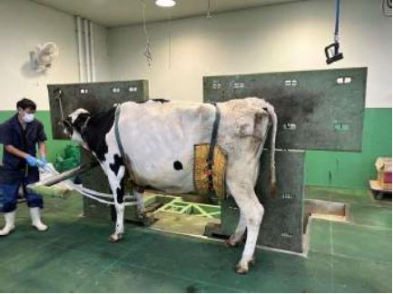 最前線の現場で、未来の獣医師へ。NOSAI北海道オホーツク臨床実習