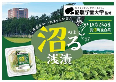 沼る浅漬け　商品POP – 正木卓のサムネイル