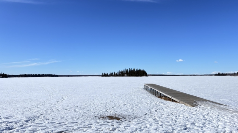 2025年度 アルバータ大学春季研修プログラム報告書(沼田夢加さん)