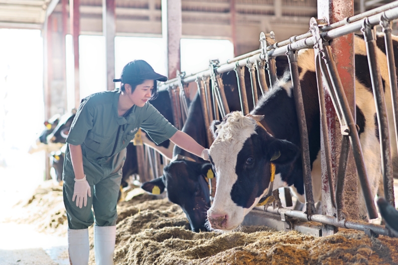 2026年度大動物継続教育合同セミナーを開催します。