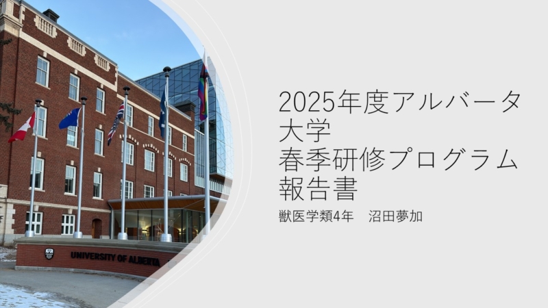 2025年度 カナダ留学プログラム報告会②(アルバータ協会奨学金受給者)を行いました