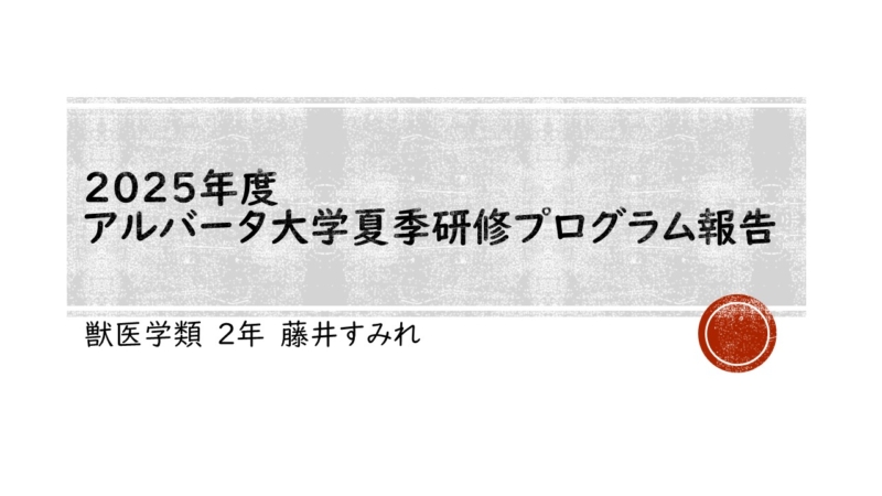 2025年度 カナダ留学プログラム報告会②(アルバータ協会奨学金受給者)を行いました