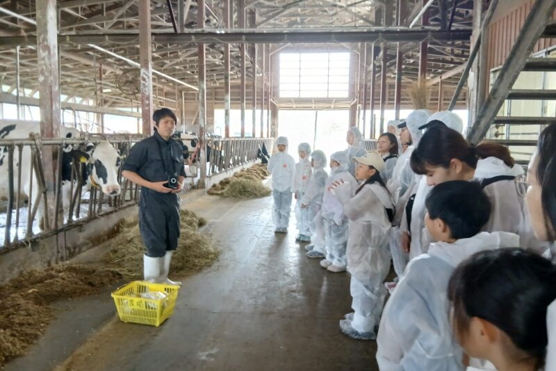 小・中・高校生向け体験講座「牛舎見学・搾乳体験とチーズづくり」を開催しました