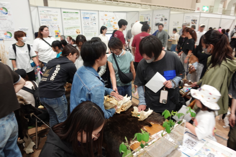 「北海道ワンヘルスフェア2026(動物愛護フェスティバル2026 in さっぽろ内)」を開催いたしました。