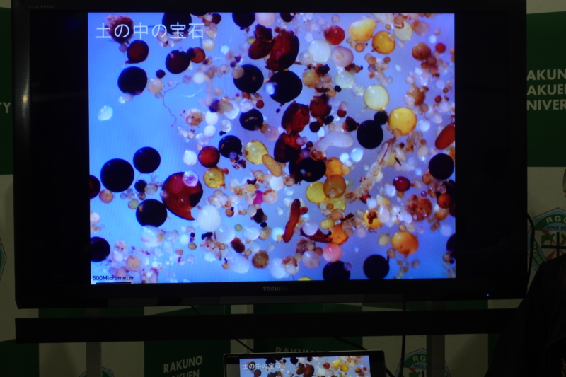 「北海道ワンヘルスフェア2026(動物愛護フェスティバル2026 in さっぽろ内)」を開催いたしました。