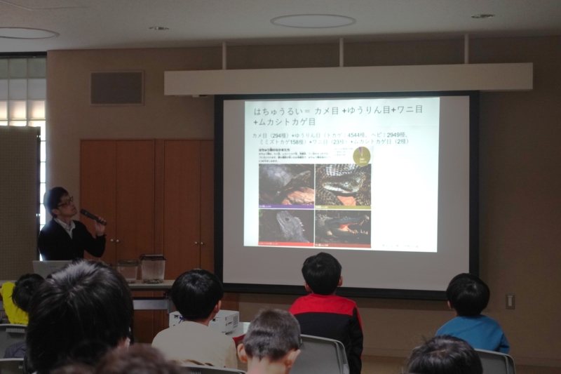 小・中・高校生向け体験講座「両生類・は虫類について学ぶ」を開催しました